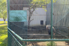 Grădina Zoologică din Calarasi 23
