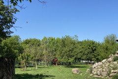 Grădina Zoologică din Calarasi 28