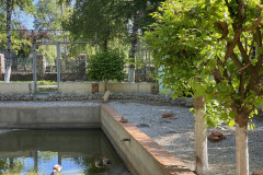 Grădina Zoologică din Calarasi 36