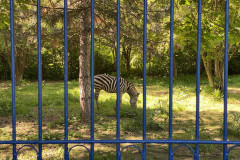 Grădina Zoologică din Calarasi 68