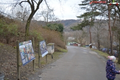 Gradina Zoologica din Praga Cehia 143