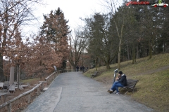 Gradina Zoologica din Praga Cehia 155