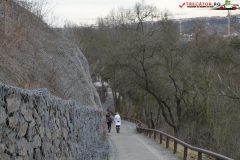 Gradina Zoologica din Praga Cehia 156