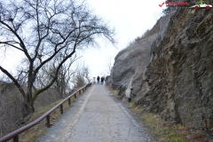 Gradina Zoologica din Praga Cehia 159