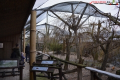 Gradina Zoologica din Praga Cehia 180