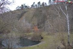 Gradina Zoologica din Praga Cehia 184