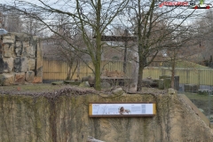 Gradina Zoologica din Praga Cehia 194