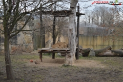 Gradina Zoologica din Praga Cehia 195