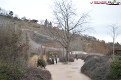 Gradina Zoologica din Praga Cehia 198