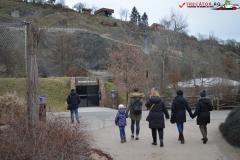 Gradina Zoologica din Praga Cehia 201