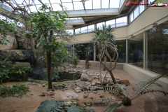 Gradina Zoologica din Praga Cehia 224