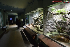 Gradina Zoologica din Praga Cehia 230