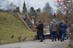 Gradina Zoologica din Praga Cehia 241