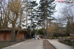 Gradina Zoologica din Praga Cehia 257