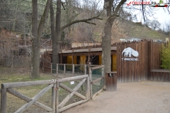 Gradina Zoologica din Praga Cehia 258