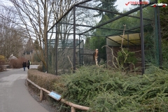 Gradina Zoologica din Praga Cehia 273