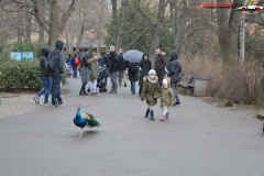 Gradina Zoologica din Praga Cehia 61