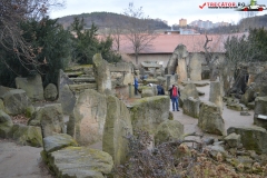 Gradina Zoologica din Praga Cehia 64