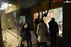 Gradina Zoologica din Praga Cehia 79