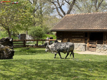 Gradina Zoologica din Praga aprilie 2023 120