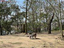 Gradina Zoologica din Praga aprilie 2023 24