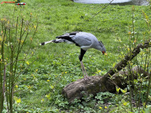 Gradina Zoologica din Praga aprilie 2023 59