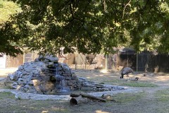 Grădina Zoologică din Târgu Mureș 107