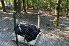 Grădina Zoologică din Târgu Mureș 23