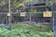 Grădina Zoologică din Târgu Mureș 25
