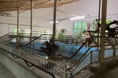 Grădina Zoologică din Târgu Mureș 28