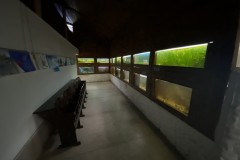 Grădina Zoologică din Târgu Mureș 42