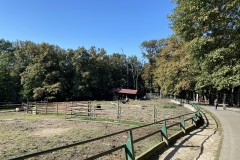 Grădina Zoologică din Târgu Mureș 57