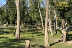 Grădina Zoologică din Târgu Mureș 65