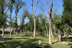 Grădina Zoologică din Târgu Mureș 67