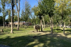 Grădina Zoologică din Târgu Mureș 69
