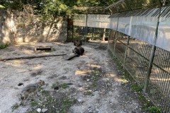 Grădina Zoologică din Târgu Mureș 72
