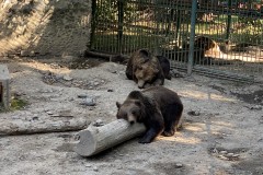 Grădina Zoologică din Târgu Mureș 73