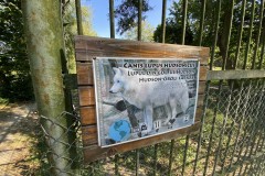 Grădina Zoologică din Târgu Mureș 85
