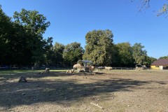 Grădina Zoologică din Târgu Mureș 87