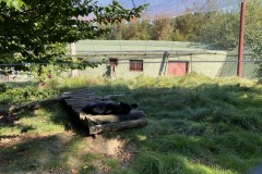 Grădina Zoologică din Târgu Mureș 93