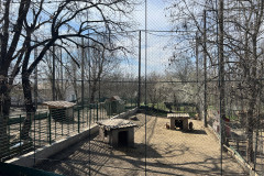 Grădina Zoologică Galați 11