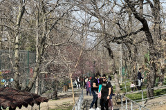 Grădina Zoologică Galați 13