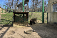 Grădina Zoologică Galați 31