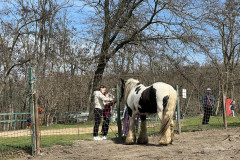 Grădina Zoologică Galați 33