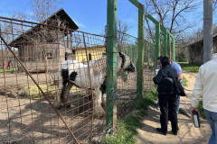 Grădina Zoologică Galați 34