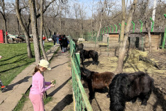 Grădina Zoologică Galați 39