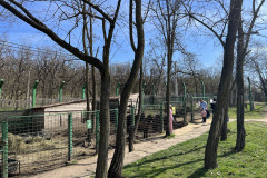 Grădina Zoologică Galați 40