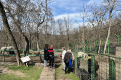 Grădina Zoologică Galați 43