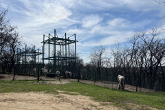 Grădina Zoologică Galați 45