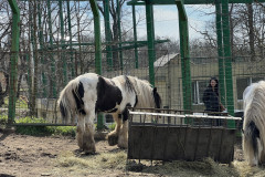 Grădina Zoologică Galați 47